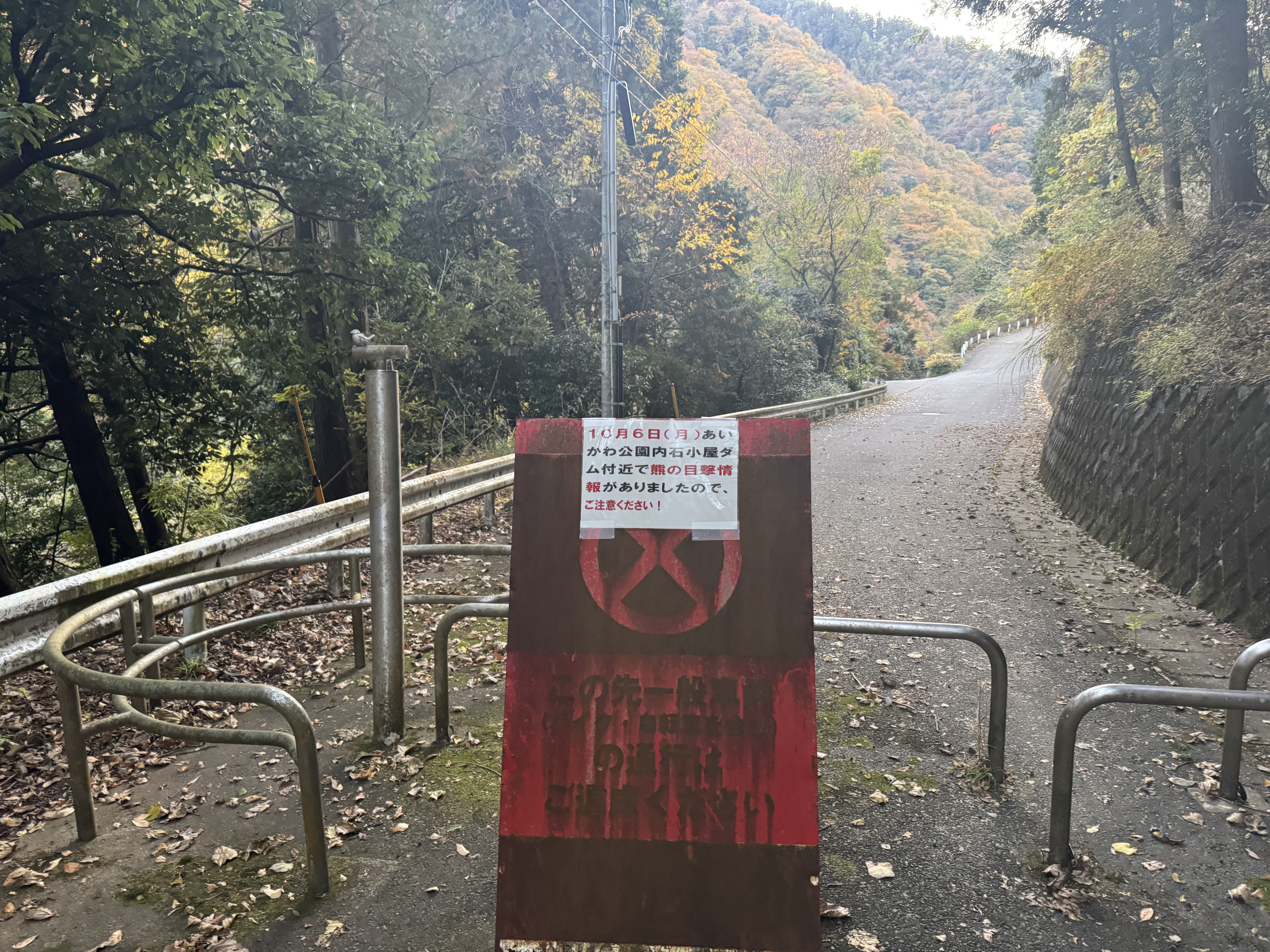 クマ注意